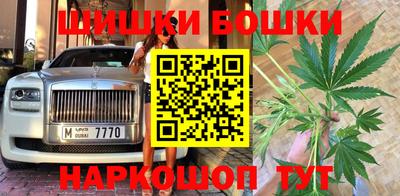 сатива Заволжье
