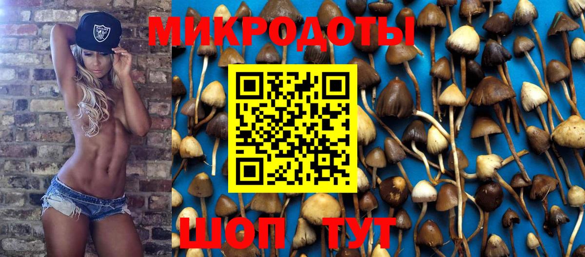 Лысьва  Псилоцибиновые грибы мицелий  Вход с VPN 